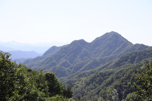 IMG_1870.JPG
